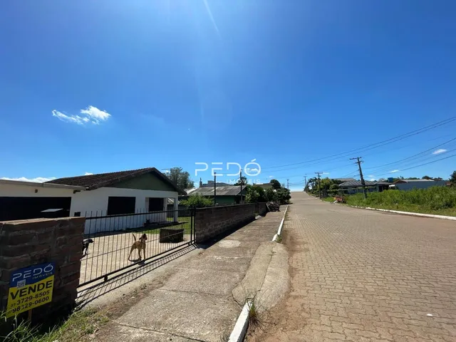 Terreno, foto 3