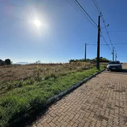 Vista externa de um terreno com vegetação e caminho pavimentado.