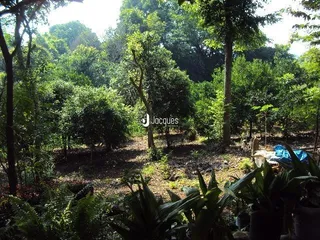 Área rural, foto 2