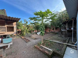 Vista externa de um quintal com jardim e árvores frutíferas.