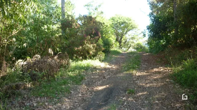 Terreno, foto 4