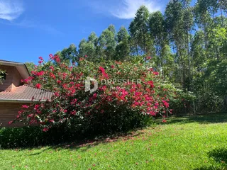 Área rural com 3 dormitórios, foto 25