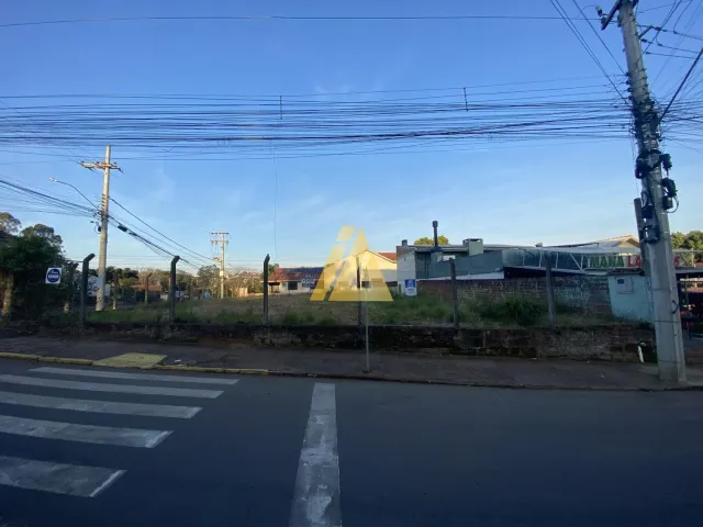 Terreno, foto 2
