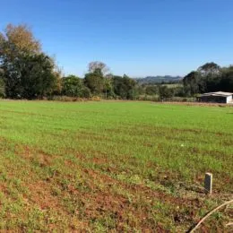 Terreno, foto 3