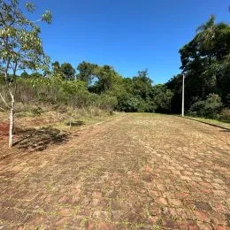 Campo aberto com vegetação seca sob um céu azul.