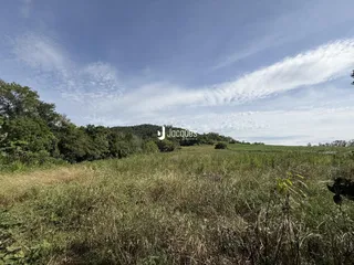Vista de um campo de grama alta sob um céu nublado.