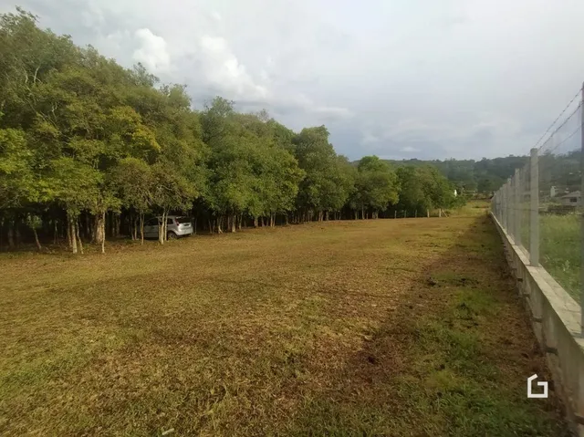 Terreno, foto 2