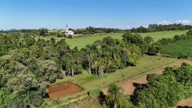 Área rural com 3 dormitórios, foto 5