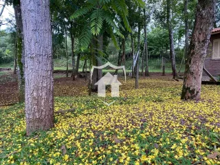Área rural com 3 dormitórios, foto 26