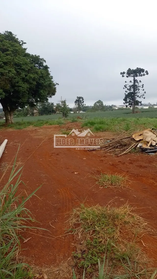 Terreno, foto 4