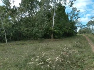 Área rural com 2 dormitórios, foto 11