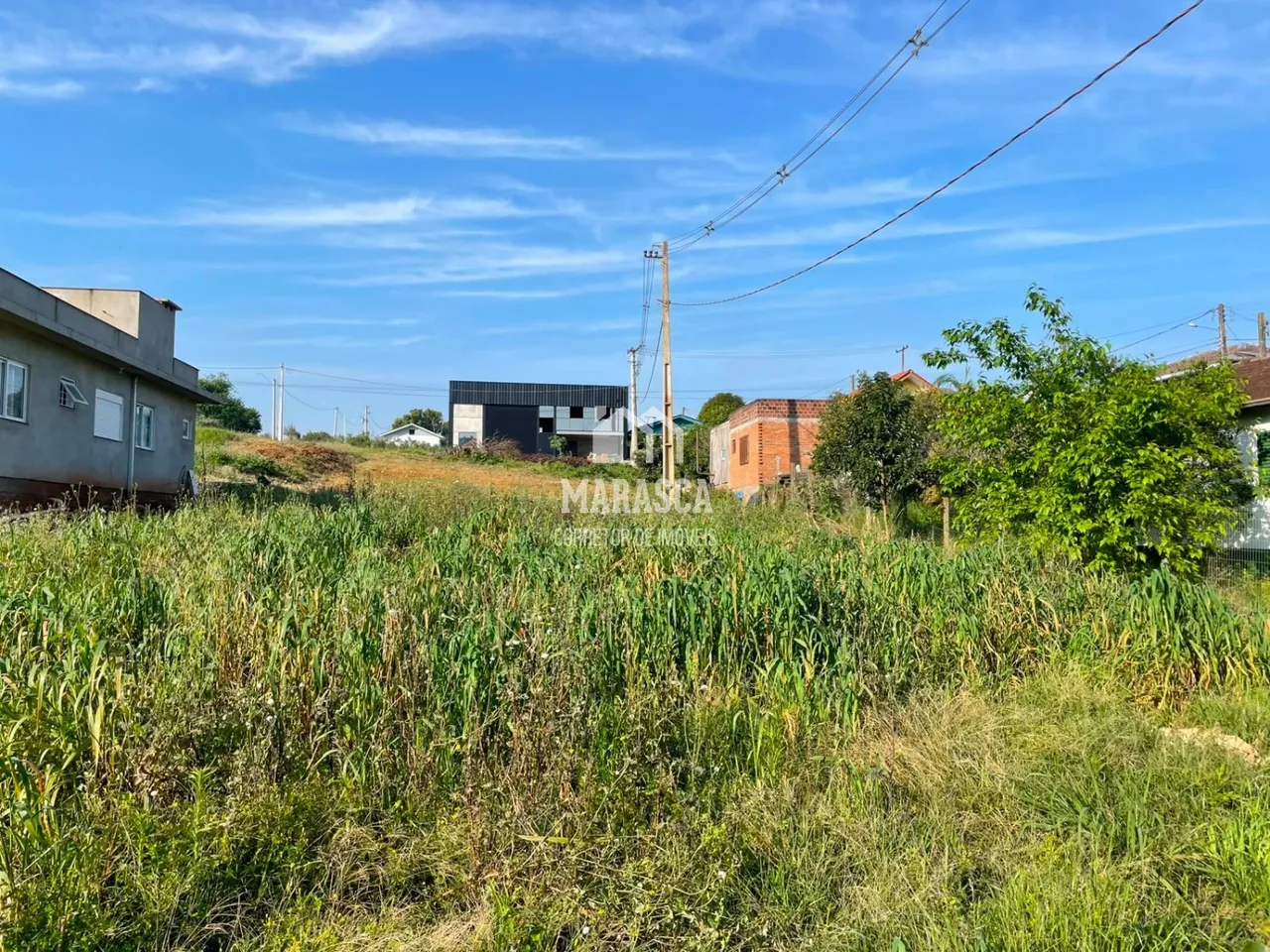 Terreno, foto 1