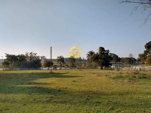 Área rural com 3 dormitórios, foto 5