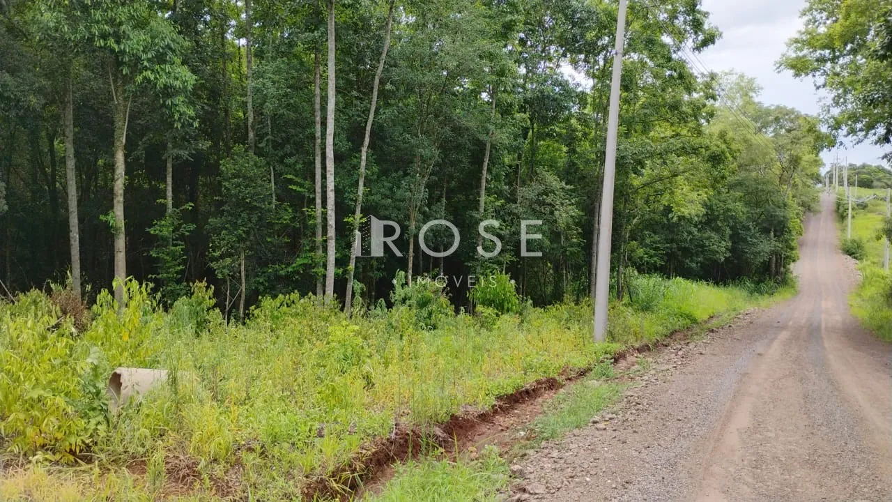 Área rural, foto 1