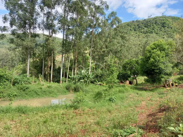 Vista panorâmica de uma área verde com vegetação densa e um curso d'água no fundo.