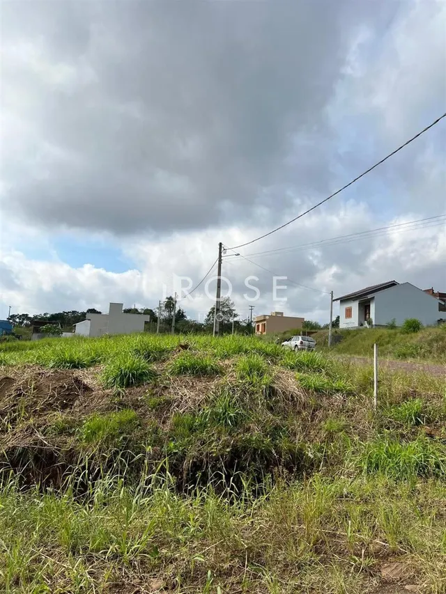 Terreno, foto 2