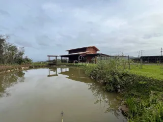 Área rural com 2 dormitórios, foto 4