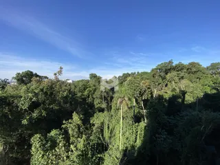 Vista aérea de uma densa floresta verde no entorno da propriedade.