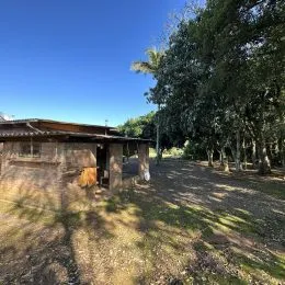 Vista externa de um terreno com vegetação e árvores.