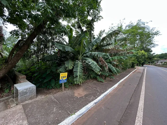 Vista externa de uma propriedade ao lado de uma estrada com vegetação densa.