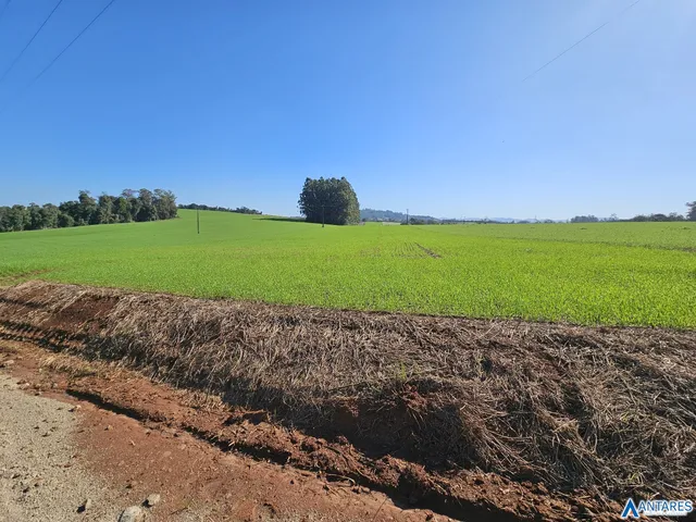 Área rural, foto 2