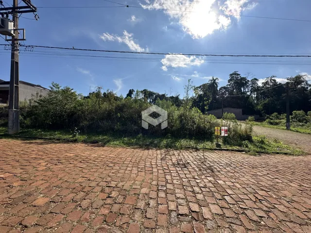 Vista externa de uma propriedade com pavimento de tijolos e vegetação densa ao fundo.