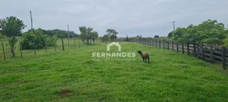 Área rural com 3 dormitórios, foto 9