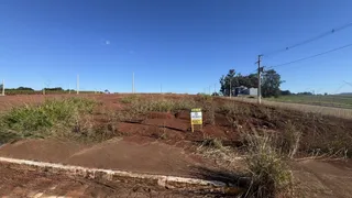Paisagem de terra vermelha e vegetação seca em uma área aberta.