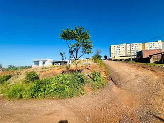 Vista de uma estrada de terra com vegetação ao redor de uma propriedade em Lajeado.