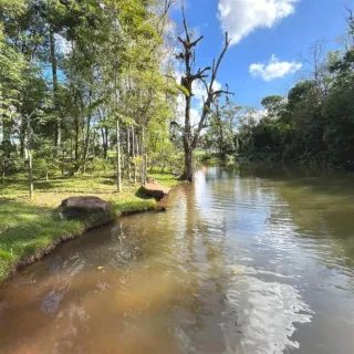 Terreno, foto 12