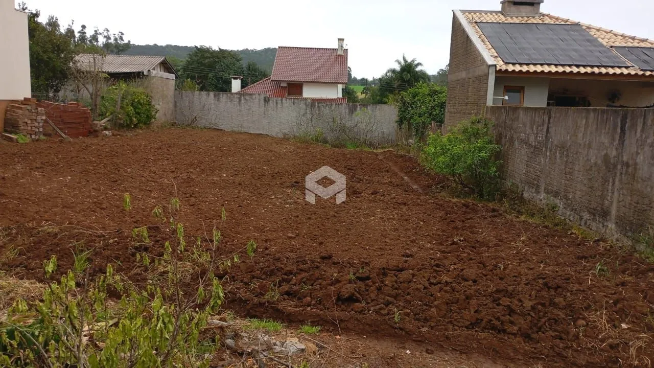 Terreno de terra marrom com vegetação ao lado de um muro de contenção.