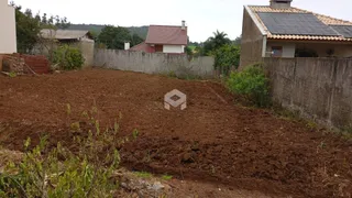 Terreno de terra marrom com vegetação ao lado de um muro de contenção.