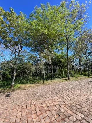 Terreno, foto 7