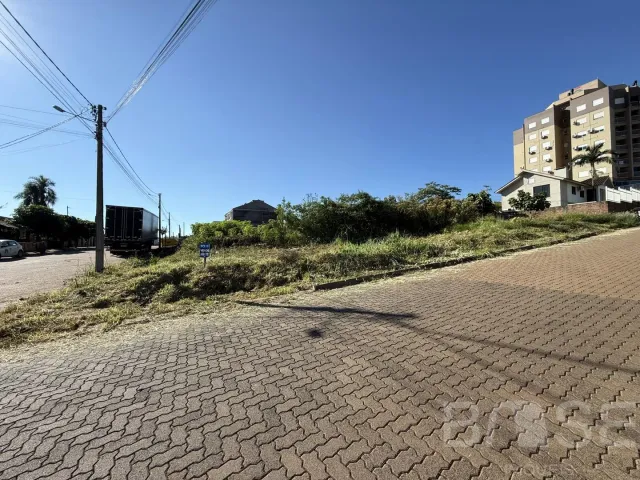 Terreno, foto 3