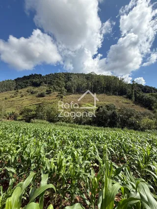 Área rural, foto 4