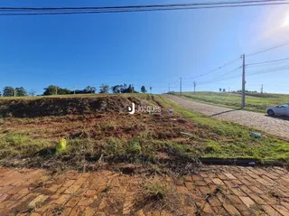 Paisagem de terreno aberto com vegetação seca e solo no Brasil.