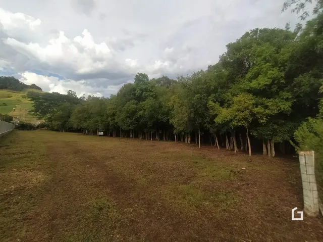 Terreno, foto 4