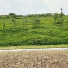 Terreno, foto 4