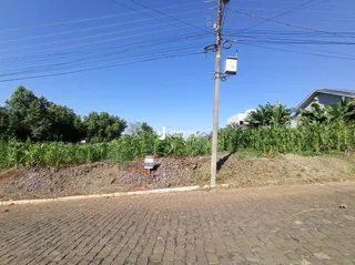Vista externa de um terreno com vegetação e poste de luz.
