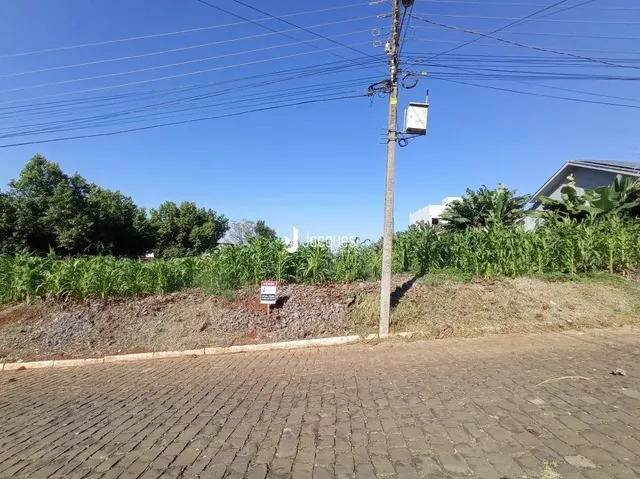 Vista externa de um terreno com vegetação e poste de luz.