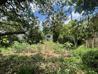 Vista da propriedade com vegetação densa na frente.