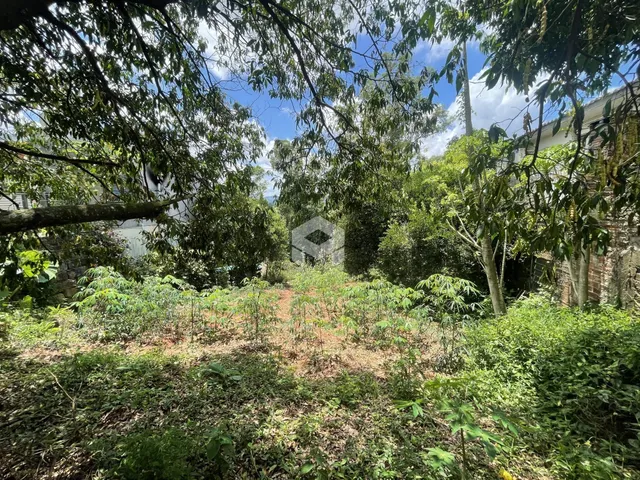 Vista da propriedade com vegetação densa na frente.