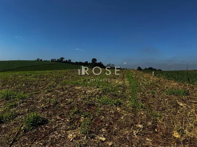 Área rural, foto 3
