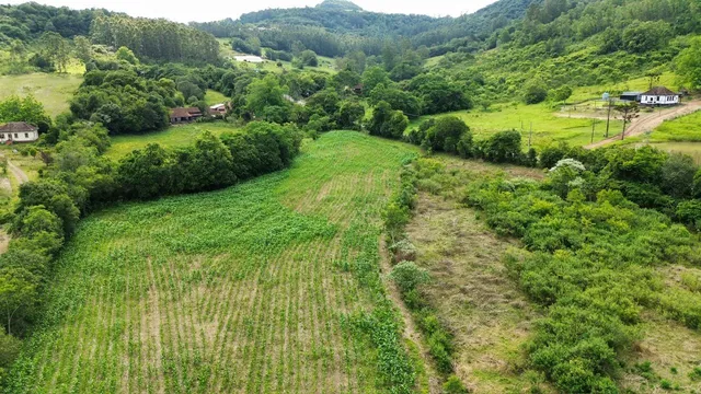 Vista panorâmica de colinas verdes e vegetação exuberante em Lajeado.