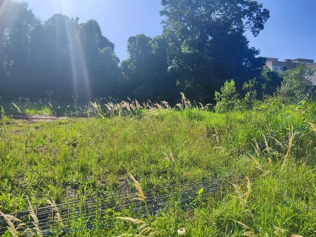 Terreno, foto 3