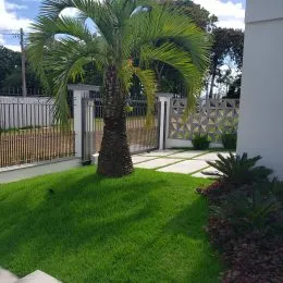 Vista de um jardim com palmeira em uma propriedade em Lajeado.