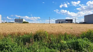Terreno, foto 1