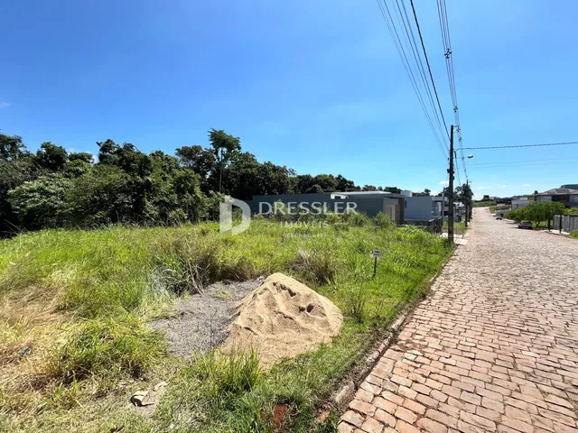 Vista da propriedade com vegetação e estrada ao lado.