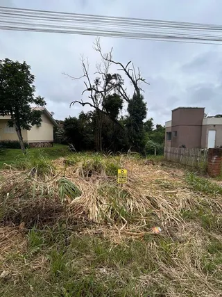 Terreno, foto 2