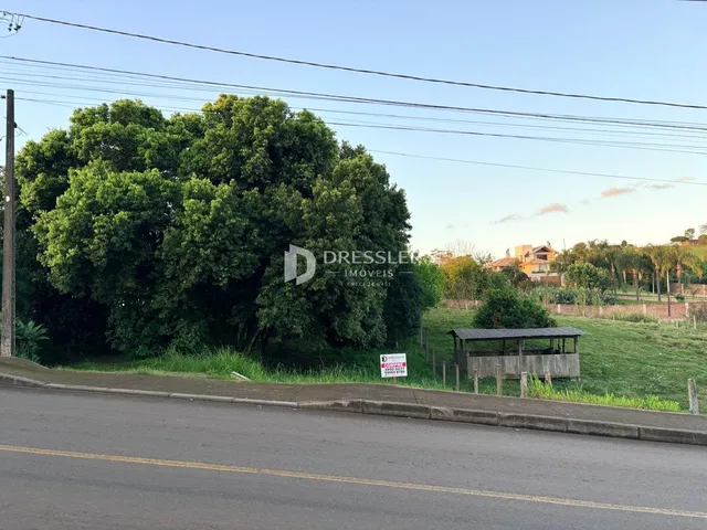 Vista da propriedade ao longo da estrada com vegetação densa.